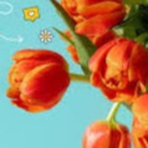 Meet your Posher, Gurwinder kaur